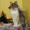 Отзыв от Клавдия Федосова